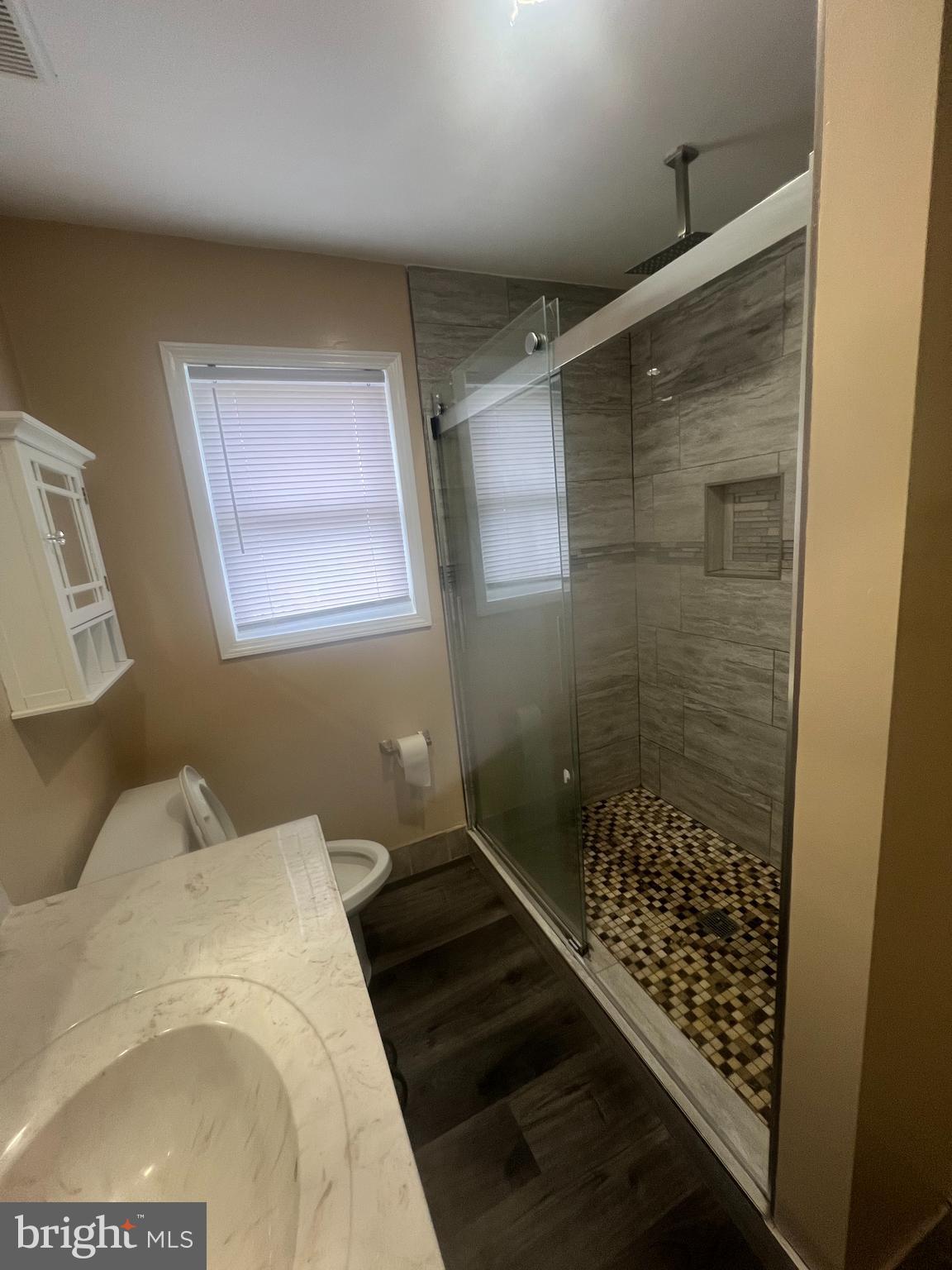 725 Rosa Avenue Croydon, PA 19021 - Photo 11 of 31 1st floor bathroom (shower)