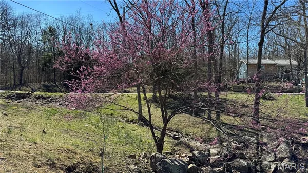 $9,700 | Tbd Holiday Shores Drive, Bismarck, MO 63624