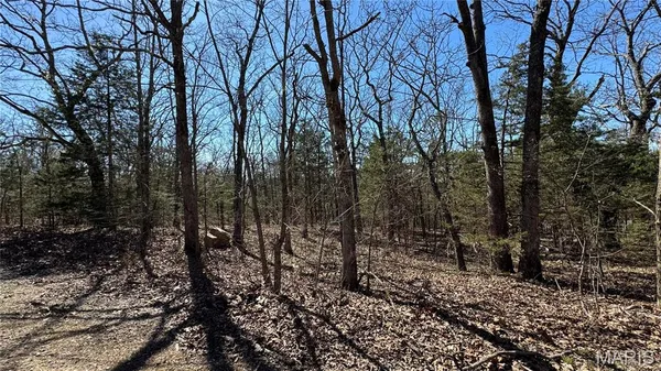 $9,700 | Tbd Holiday Shores Drive, Bismarck, MO 63624