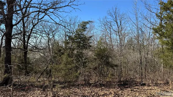 $9,700 | Tbd Holiday Shores Drive, Bismarck, MO 63624