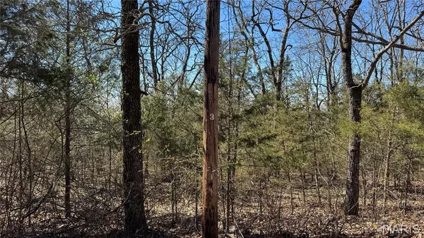 $9,700 | Tbd Holiday Shores Drive, Bismarck, MO 63624