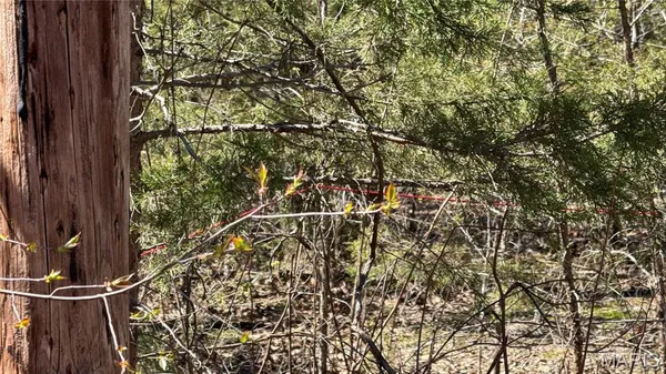 $9,700 | Tbd Holiday Shores Drive, Bismarck, MO 63624