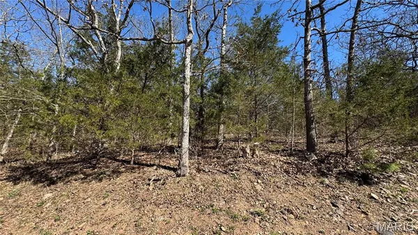 $9,700 | Tbd Holiday Shores Drive, Bismarck, MO 63624