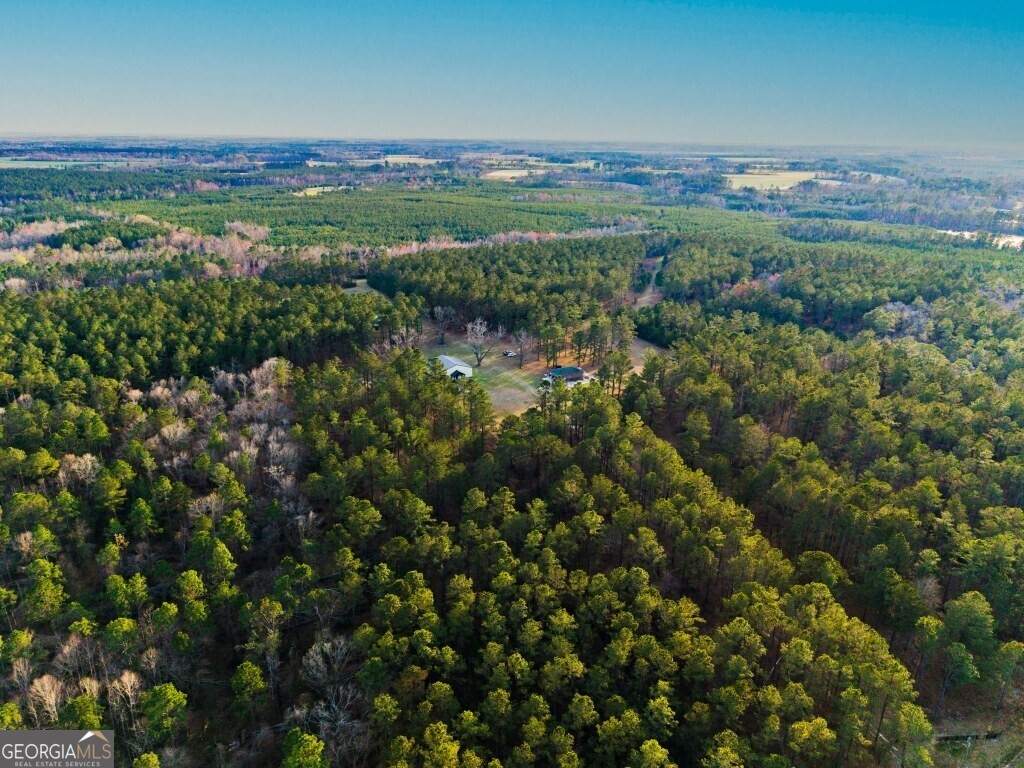 9418 Donnell Road Cobbtown, GA 30420 - Photo 1 of 1 a view of a city with lush green forest