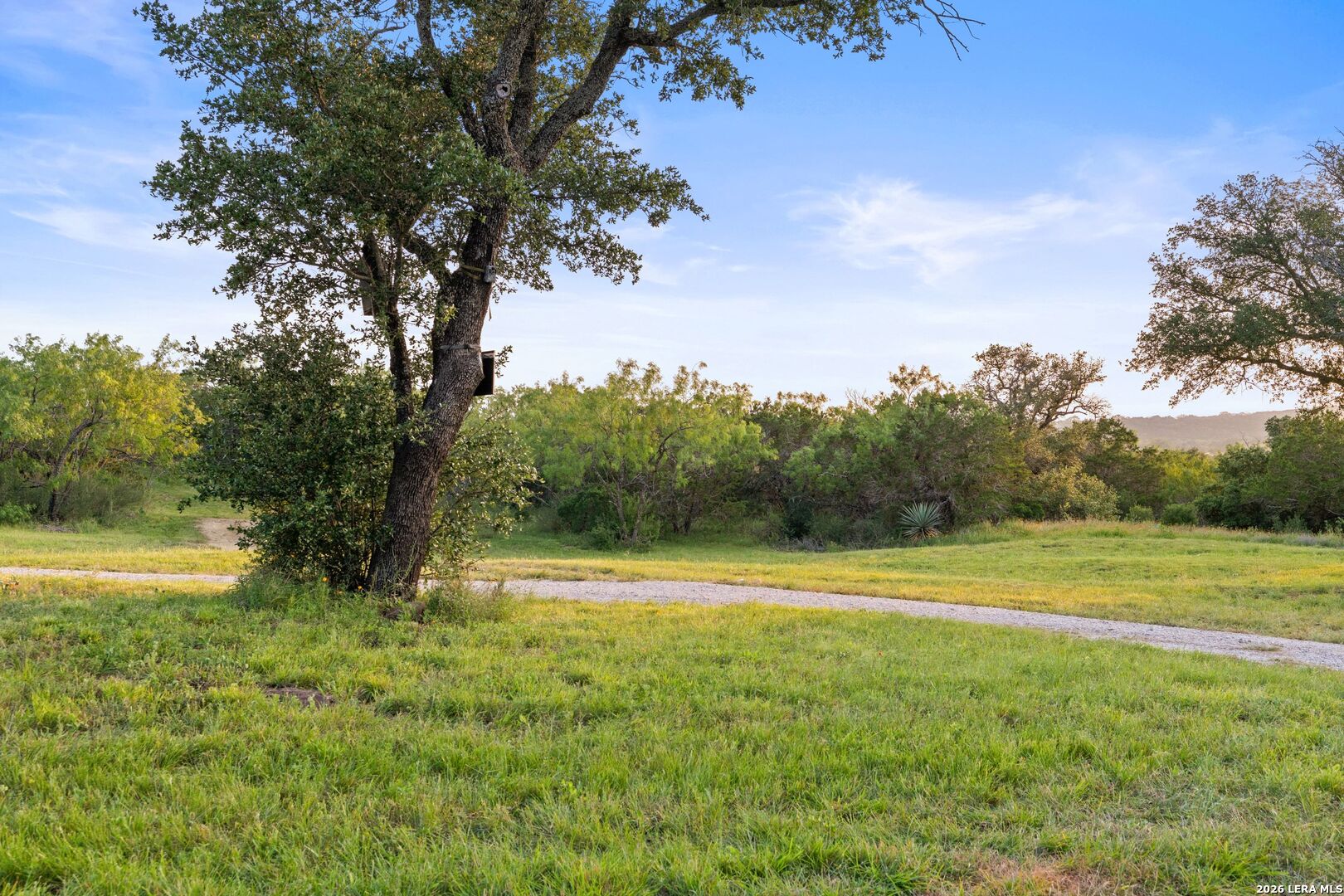 3402 Mormon Mill Road Marble Falls, TX 78654 - Photo 13 of 29 a view of outdoor space with trees all around