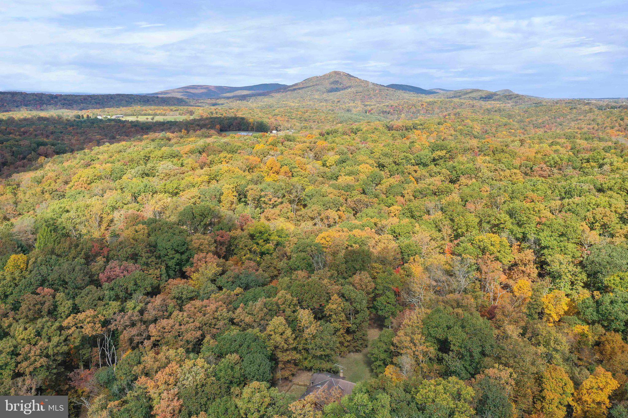 10864 Garrison Hollow Road Clear Spring, MD 21722 - Photo 83 of 89