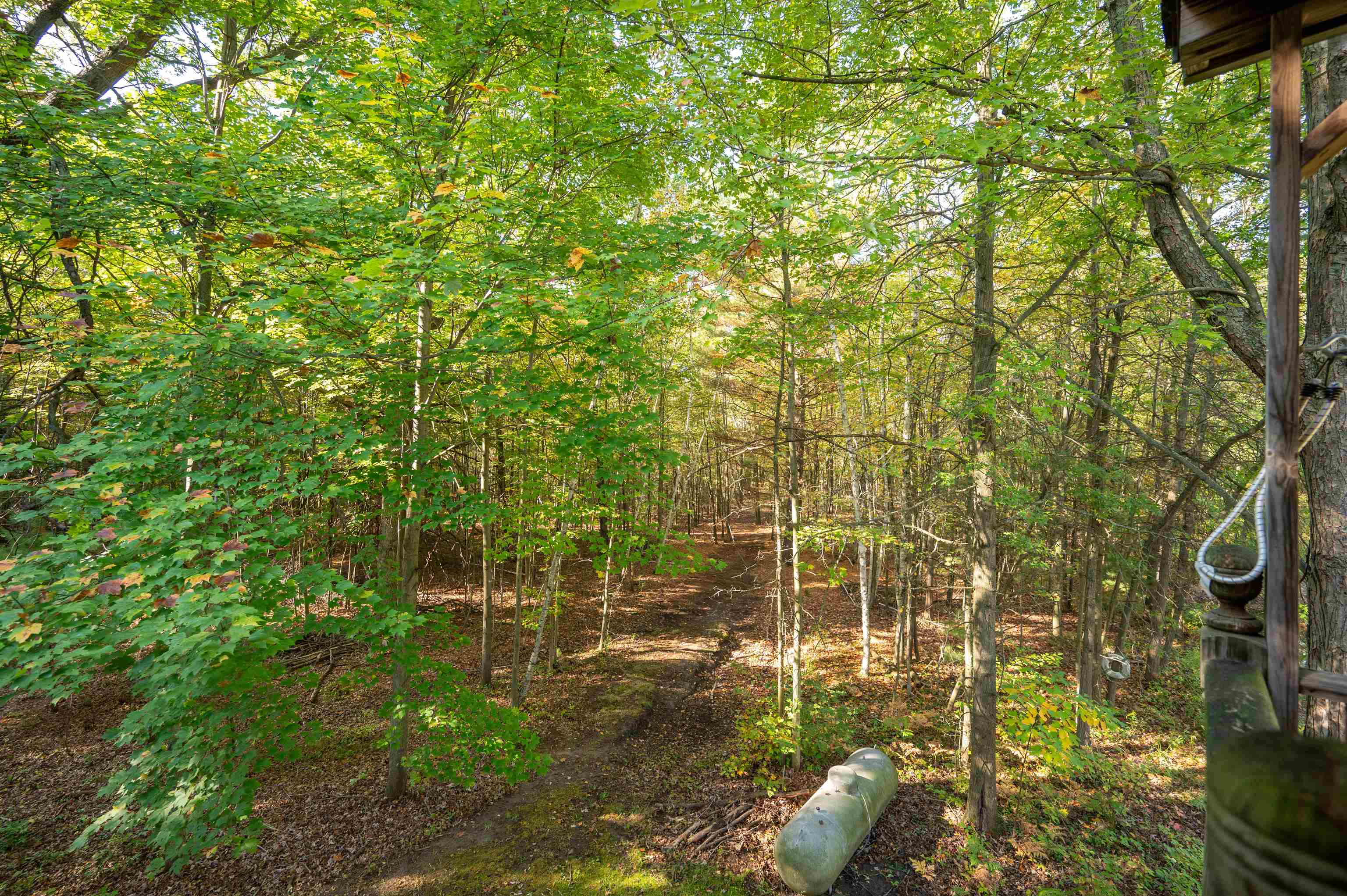 2554 South Fordney Road Hemlock, MI 48626 - Photo 10 of 88