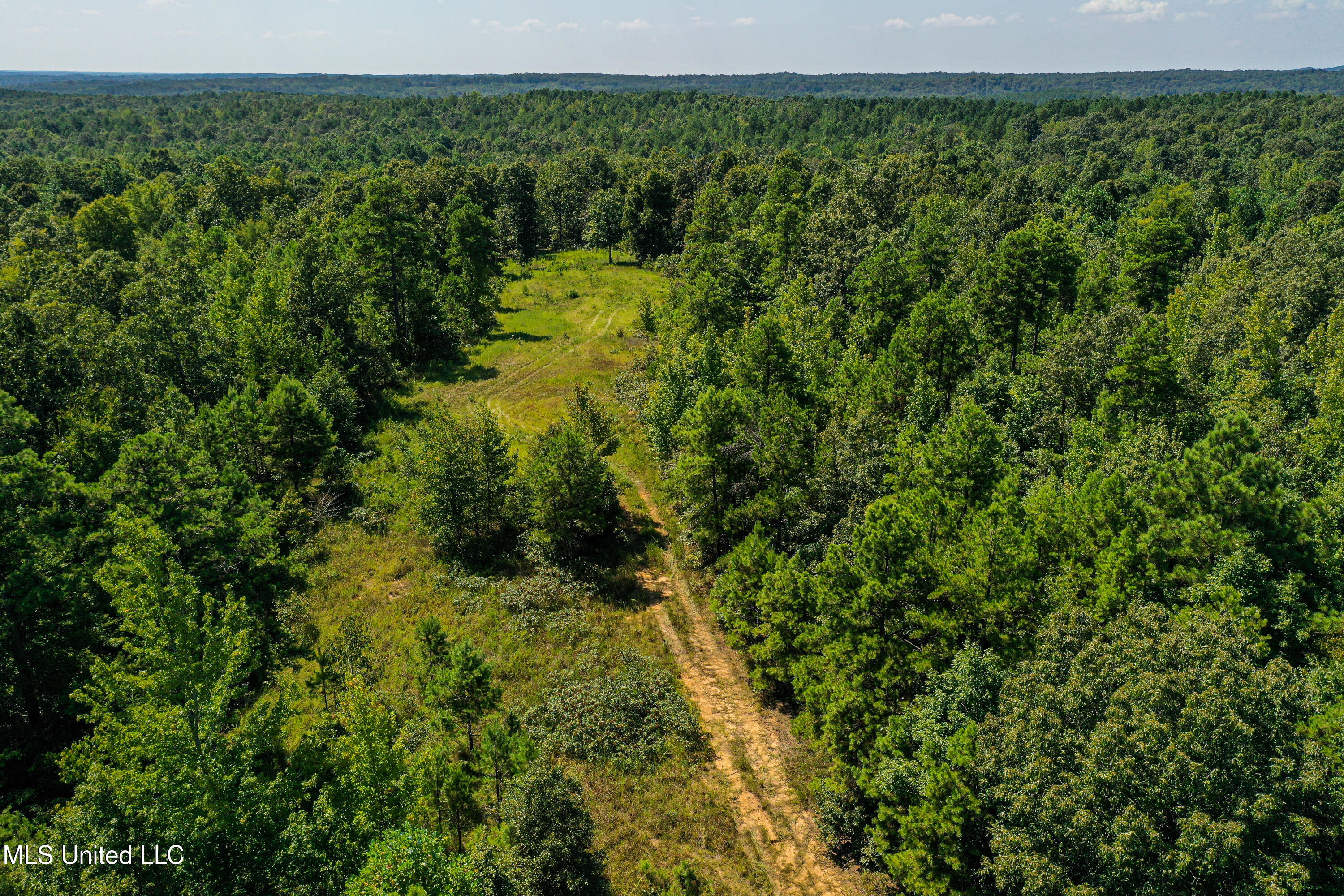 2295 Chapman Road Falkner, MS 38629 - Photo 1 of 48 DJI_0402