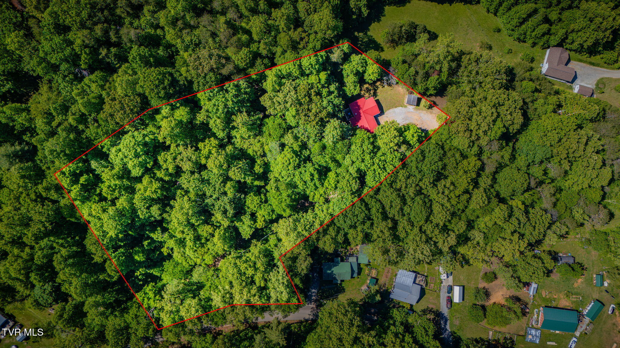 1285 Frank Roberts Road Afton, TN 37616 - Photo 2 of 34 105a