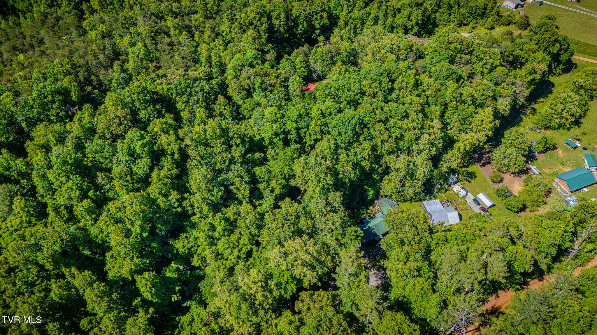 1285 Frank Roberts Road Afton, TN 37616 - Photo 30 of 34 103