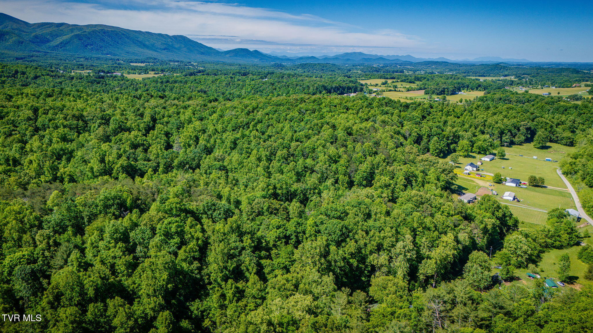 1285 Frank Roberts Road Afton, TN 37616 - Photo 31 of 34 104