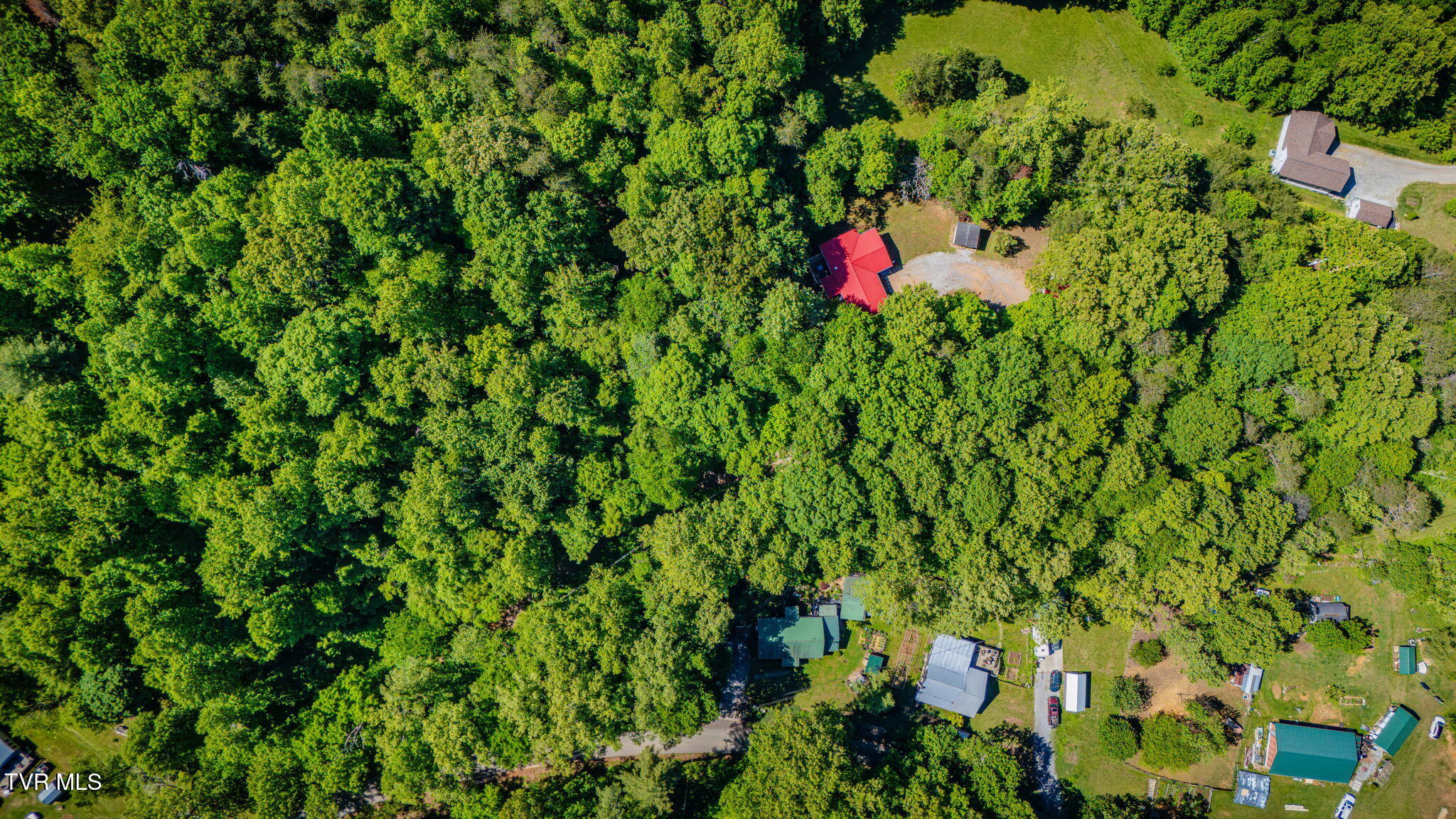 1285 Frank Roberts Road Afton, TN 37616 - Photo 32 of 34 105