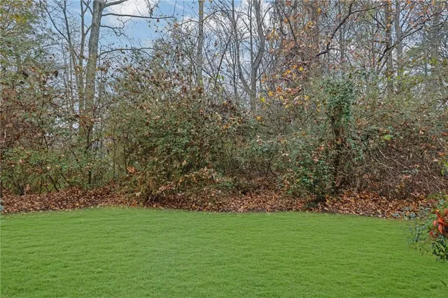 a view of outdoor space and yard