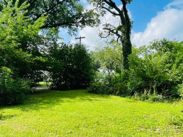a view of yard with green space