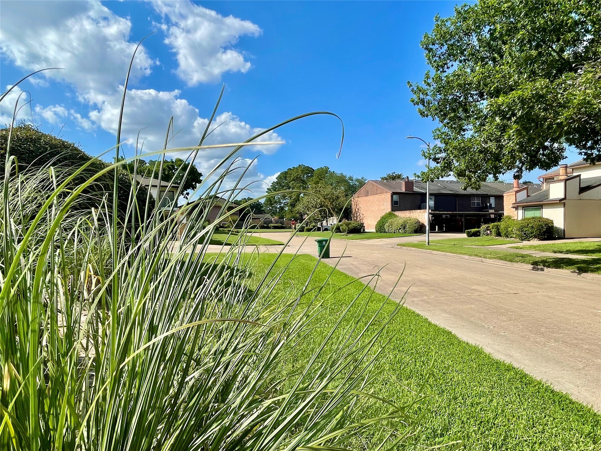 7840 Bateman Lane Houston, TX 77088 - Photo 20 of 25 a view of a garden