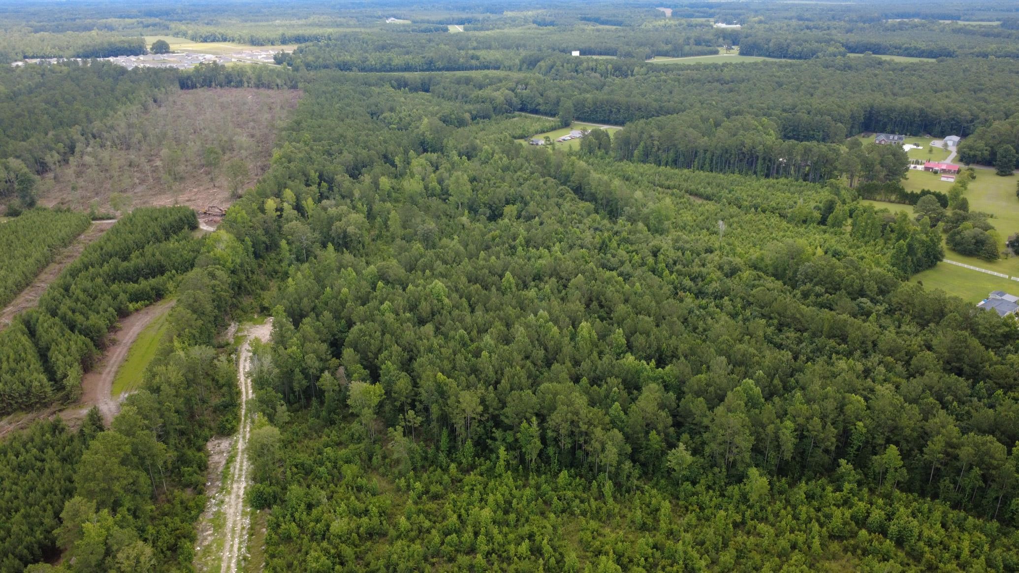 Lot A Fries Bay Road Loris, SC 29569 - Photo 3 of 9