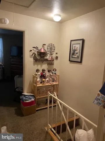 a bathroom with a toilet and a shower curtain