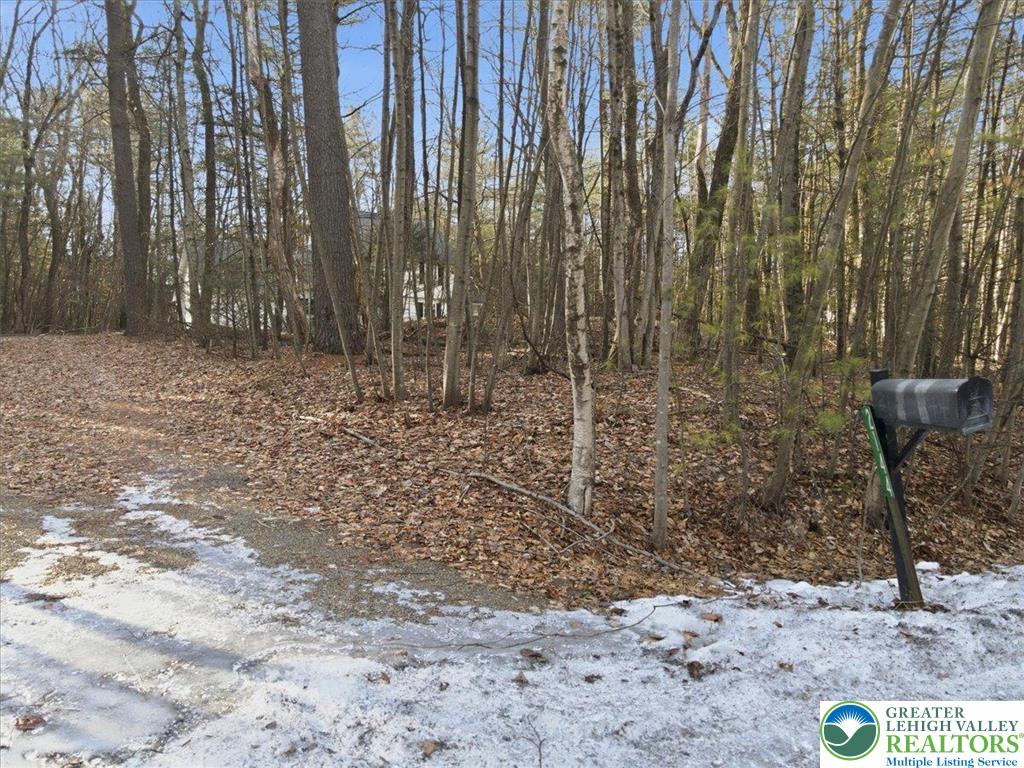 2144 Hill Road Effort, PA 18330 - Photo 60 of 78