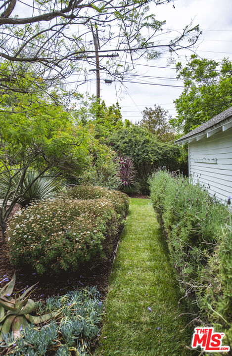 2124 Ridgeview Avenue Los Angeles, CA 90041 - Photo 29 of 33 a plant that is in front of flowers
