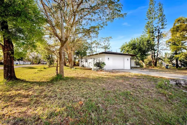 a view of a yard with trees