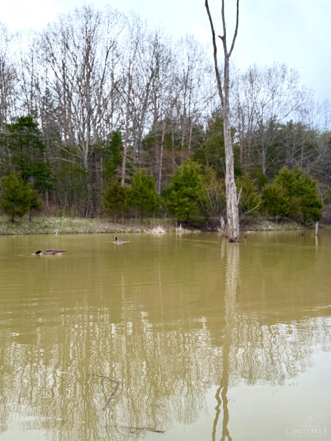 1600 Magee Jones Road Peebles, OH 45660 - Photo 85 of 91