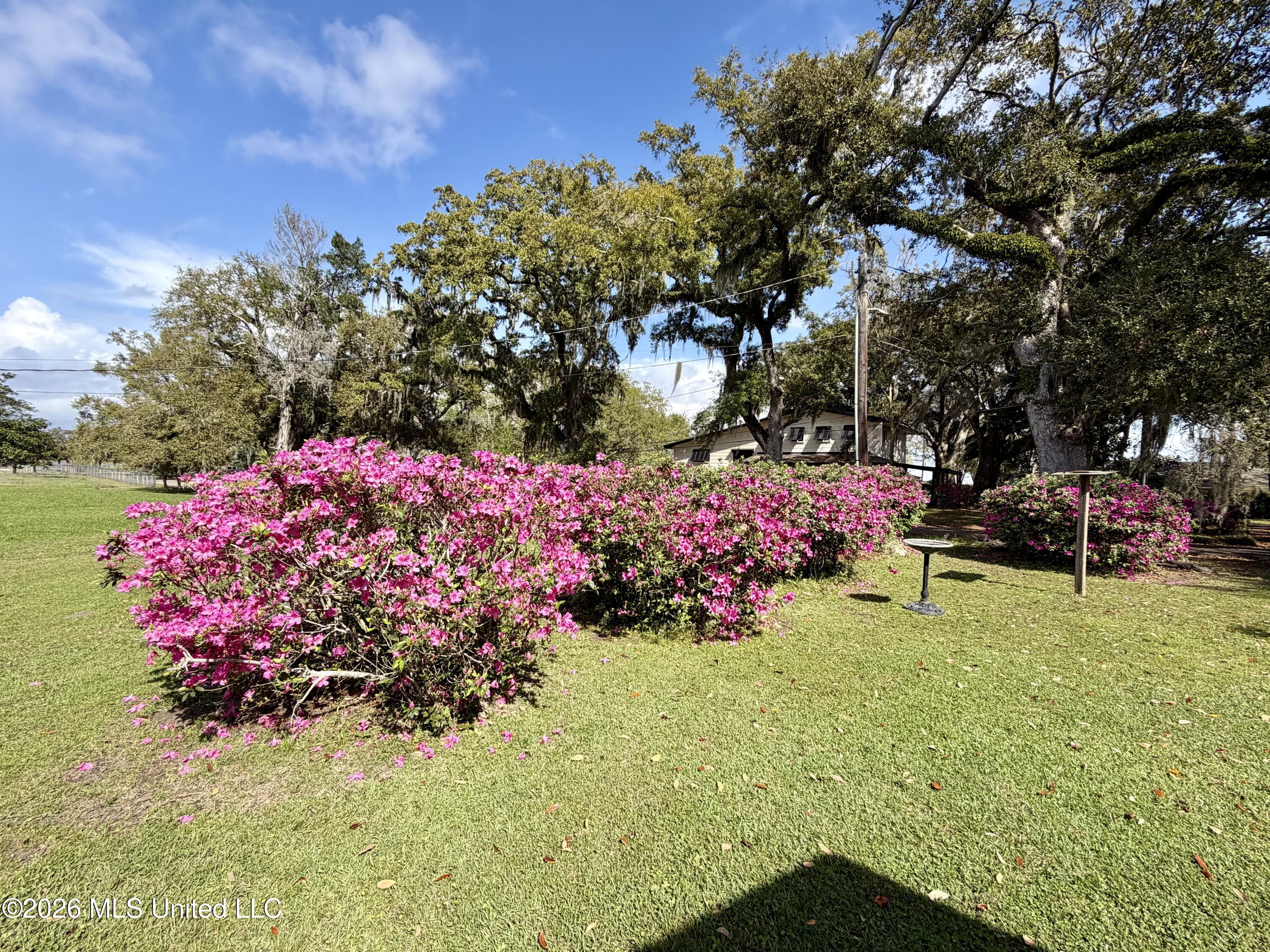 5319 Griffin Street Moss Point, MS 39563 - Photo 28 of 33 IMG_3210