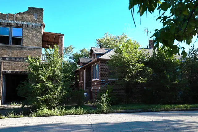 a front view of a house with plants and trees