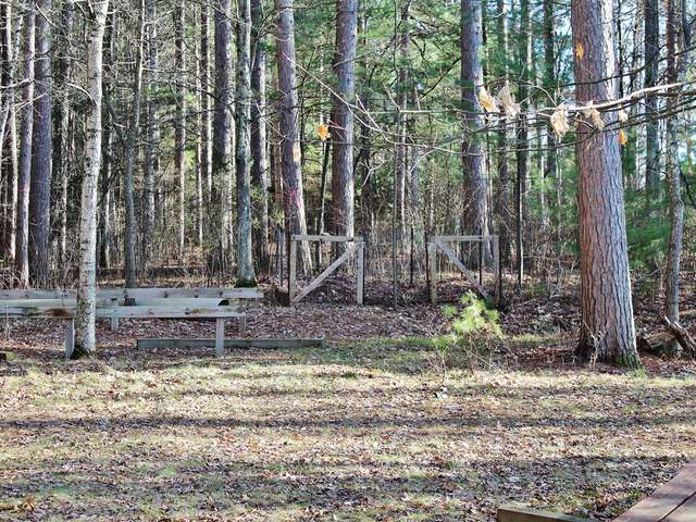 11965 Deer Lake Road Tomahawk, WI 54487 - Photo 3 of 12 Gallery Image 3