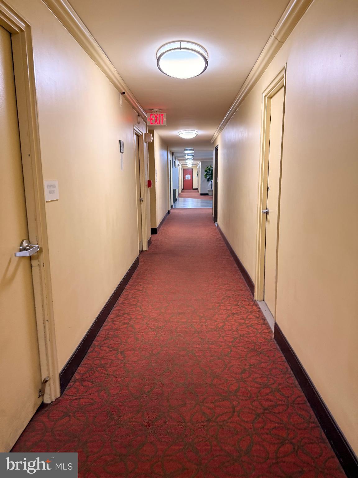 4740 Connecticut Avenue Northwest, Unit 112 Washington, DC 20008 - Photo 18 of 20 Inviting corridor with warm, welcoming tones.