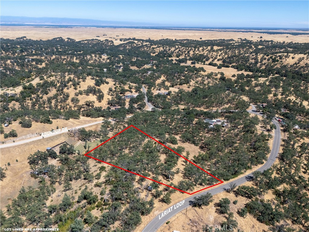 16398 Lariat Loop Corning, CA 96021 - Photo 3 of 15