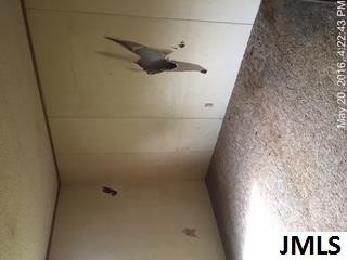 6492 Jordan Road Jackson, MI 49201 - Photo 6 of 21 Photo 6