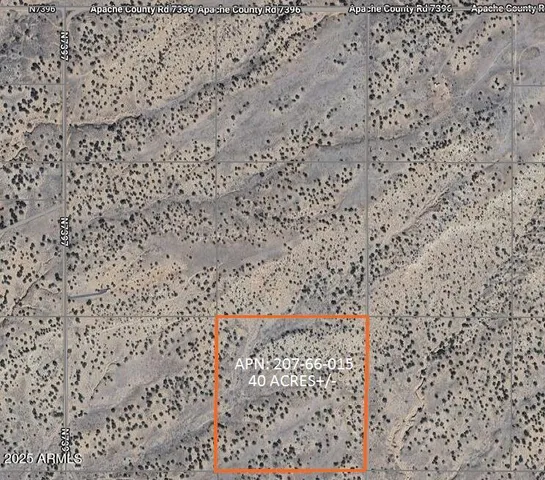 $19,947 | 15 County Road, Chambers, AZ 86502