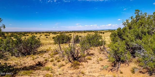 $19,947 | 15 County Road, Chambers, AZ 86502