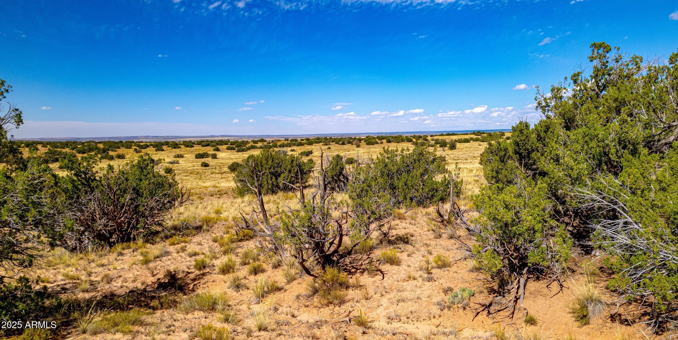15 County Road Chambers, AZ 86502 - Photo 4 of 9 15 County Rd N7397