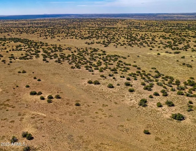 $19,947 | 15 County Road, Chambers, AZ 86502