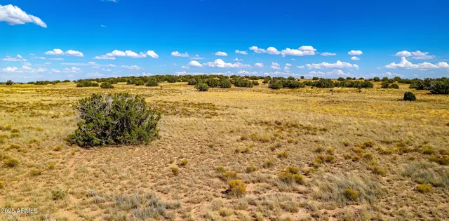 $19,947 | 15 County Road, Chambers, AZ 86502