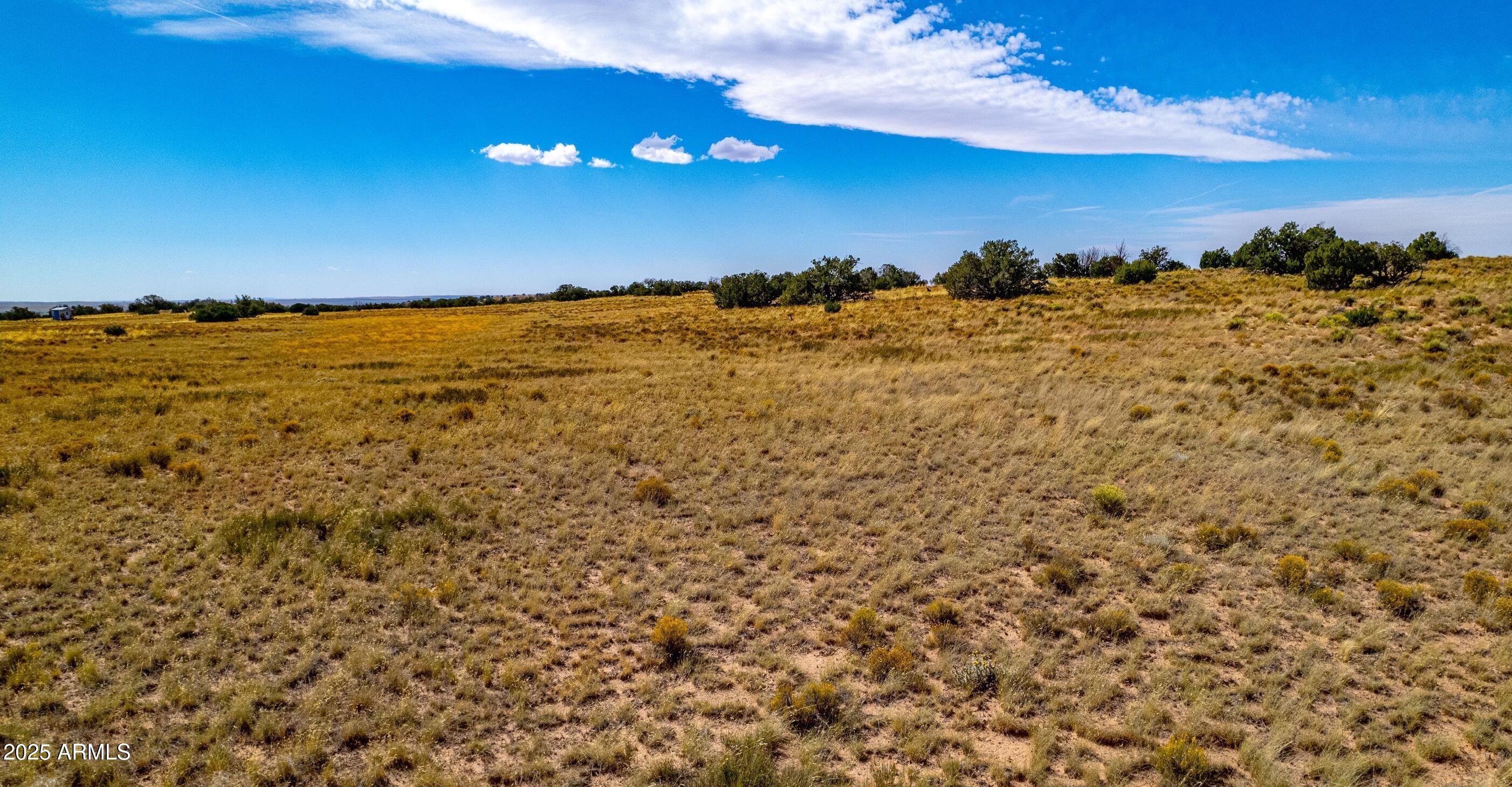 15 County Road Chambers, AZ 86502 - Photo 7 of 9 15 County Rd N7397