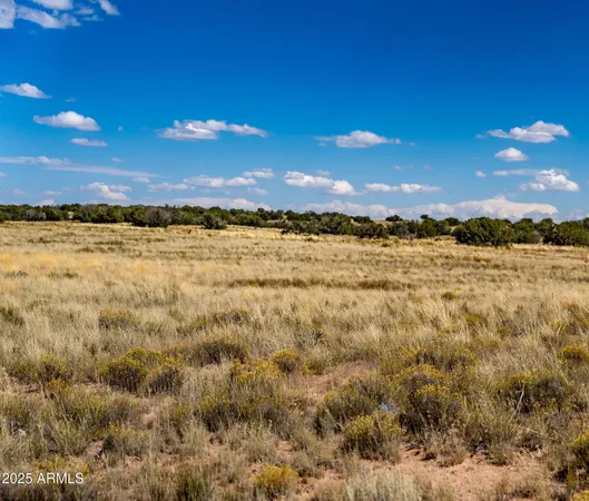 $17,947 | 15 County Road, Chambers, AZ 86502
