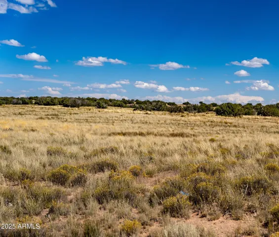 $19,947 | 15 County Road, Chambers, AZ 86502