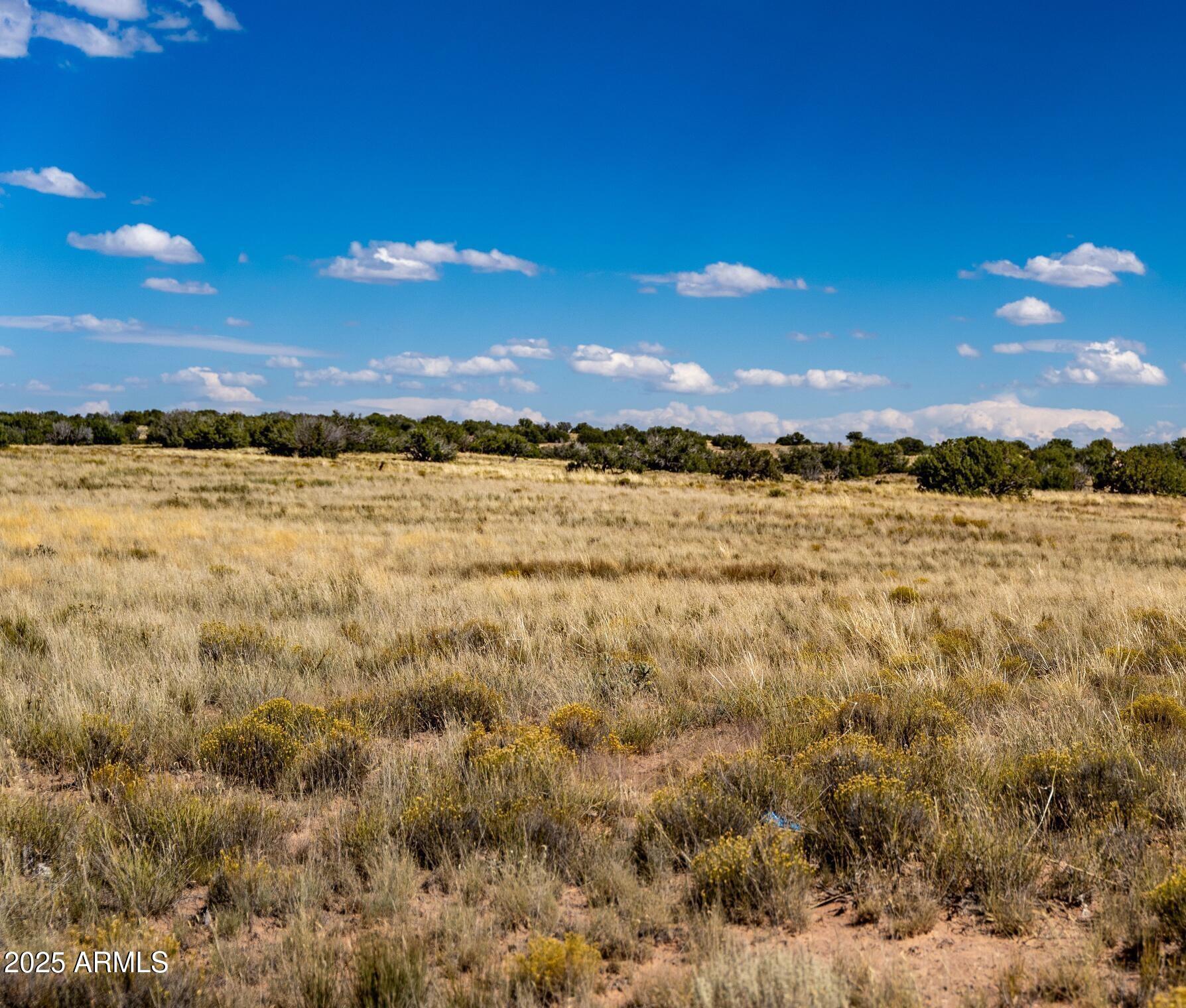 15 County Road Chambers, AZ 86502 - Photo 8 of 9 15 County Rd N7397