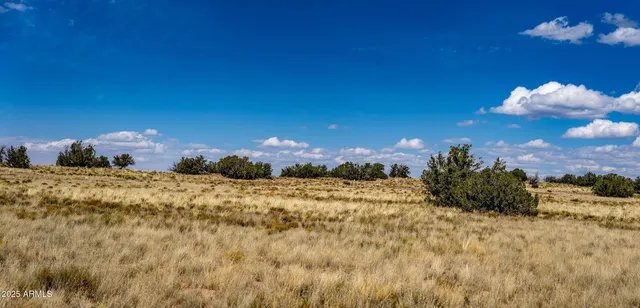 $19,947 | 15 County Road, Chambers, AZ 86502