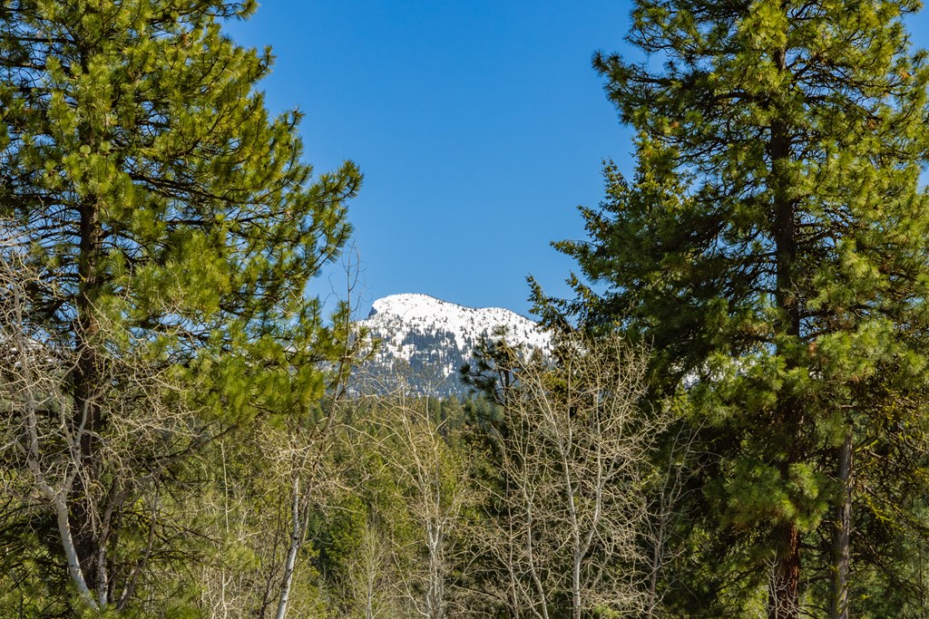 Tbd Morell Road McCall, ID 83638 - Photo 8 of 22