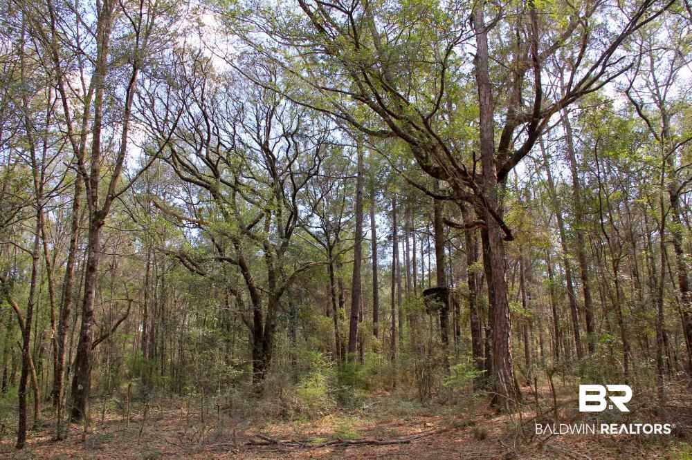 0 County Road 49 Loxley, AL 36551 - Photo 2 of 33