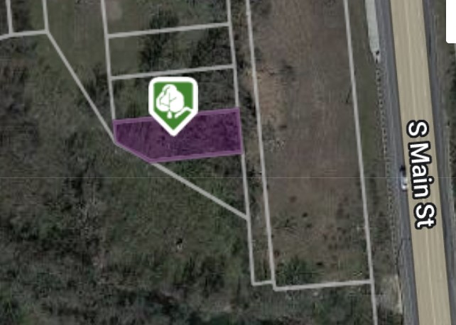 a bathroom with a shower and a sink