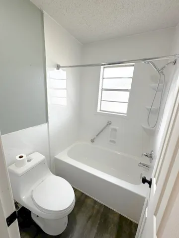 a bathroom with a toilet and a bathtub