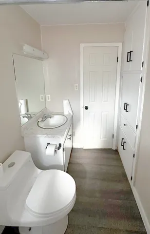 a bathroom with a sink and toilet