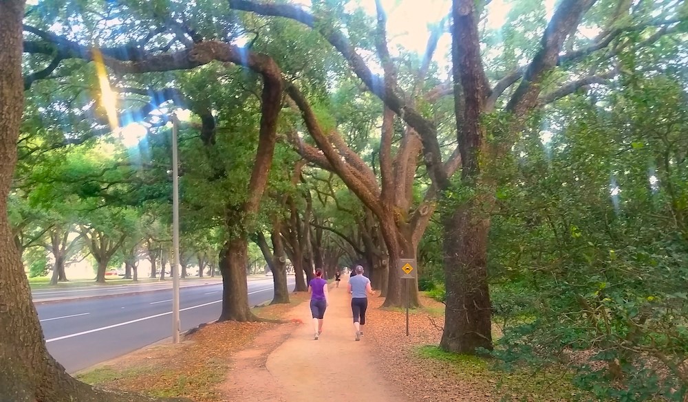 1812 Rosedale Street, Unit A Houston, TX 77004 - Photo 21 of 21 Close to the beloved West University loop—perfect for morning runs, evening walks, and an effortless outdoor routine.