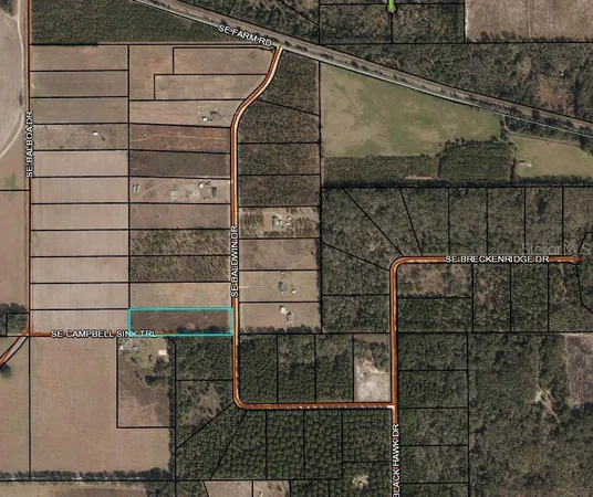 $60,000 | Southeast Baldwin Drive, Lee, FL 32059