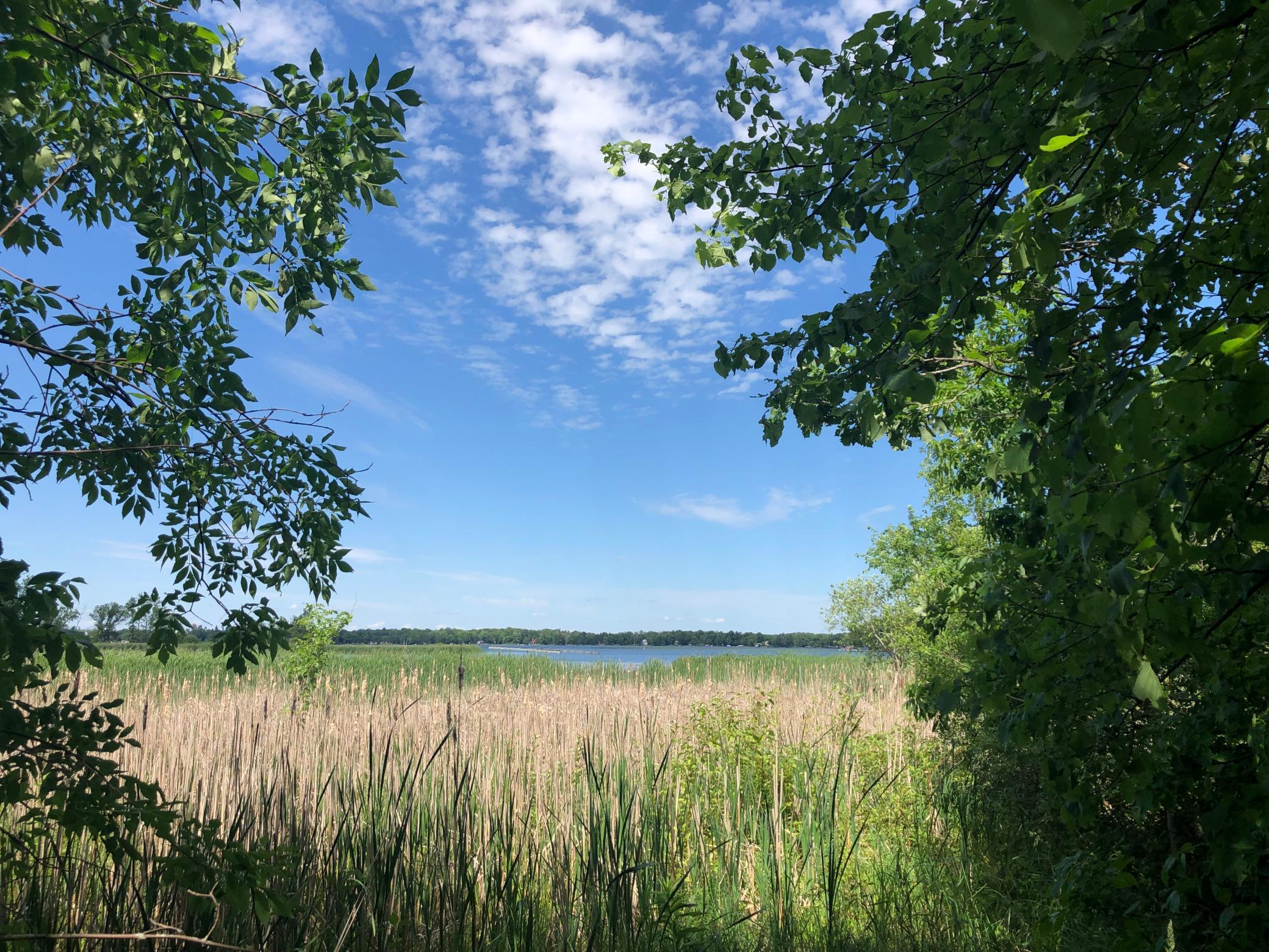 Tbd 388th Street Onamia, MN 56359 - Photo 15 of 43