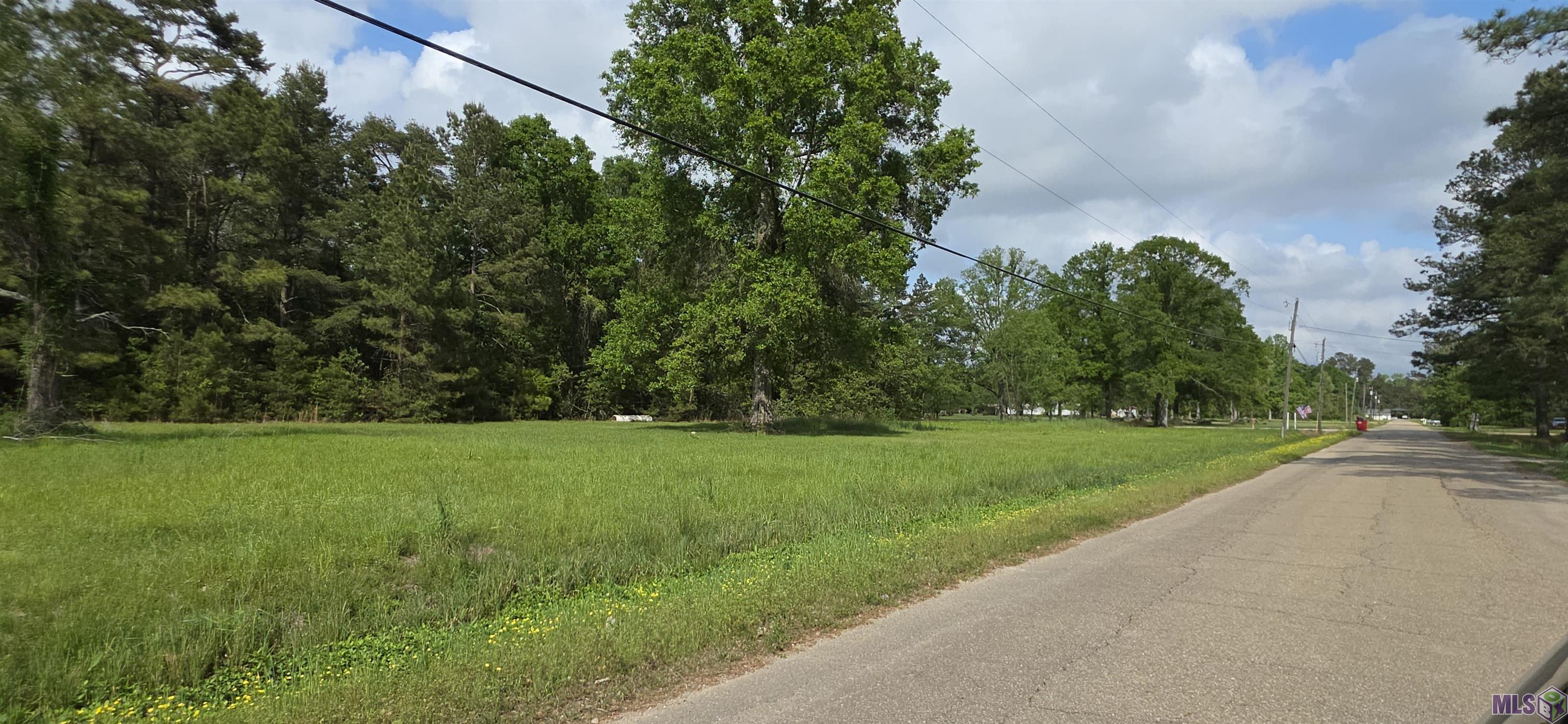 Tbd Cane Market Road Denham Springs, LA 70706 - Photo 3 of 3